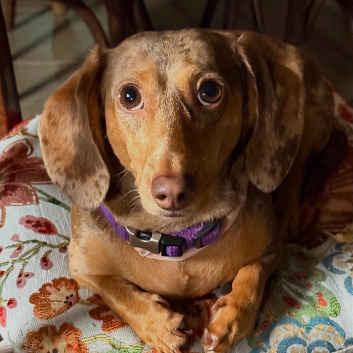 hi I’m Hank tweet media