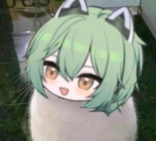 Anchovovy's tweet photo. @FuseichiYume @BurntArgon12138 https://t.co/VxvU1GNWUw