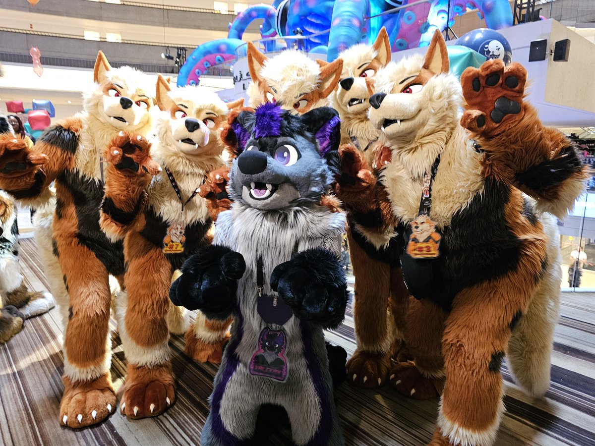 Valckan's tweet photo. Happy #FursuitFriday from FWA! https://t.co/q6xdhNvzK9