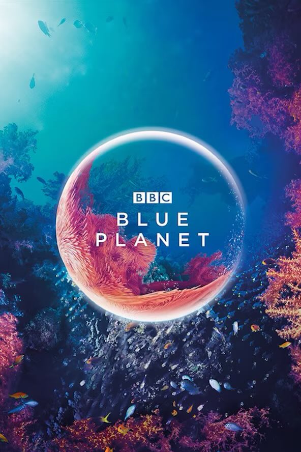 ‘BLUE PLANET 3’ is officially in the works.

David Attenborough will return as the narrator.
