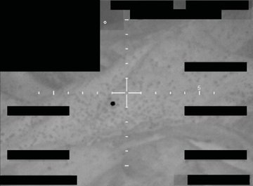 Astronomiaum tweet media