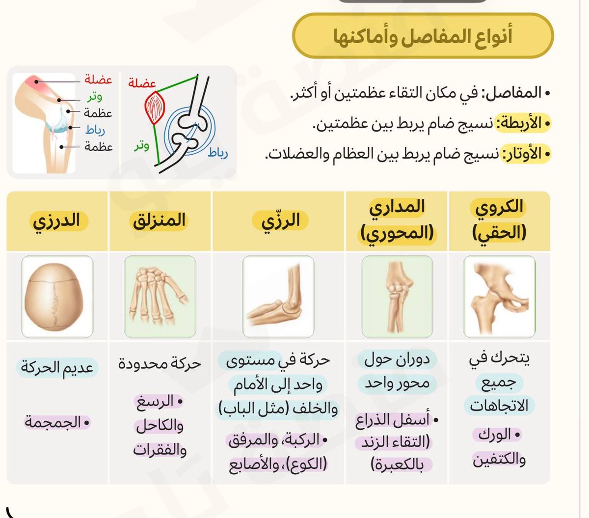 نــــىّ tweet media