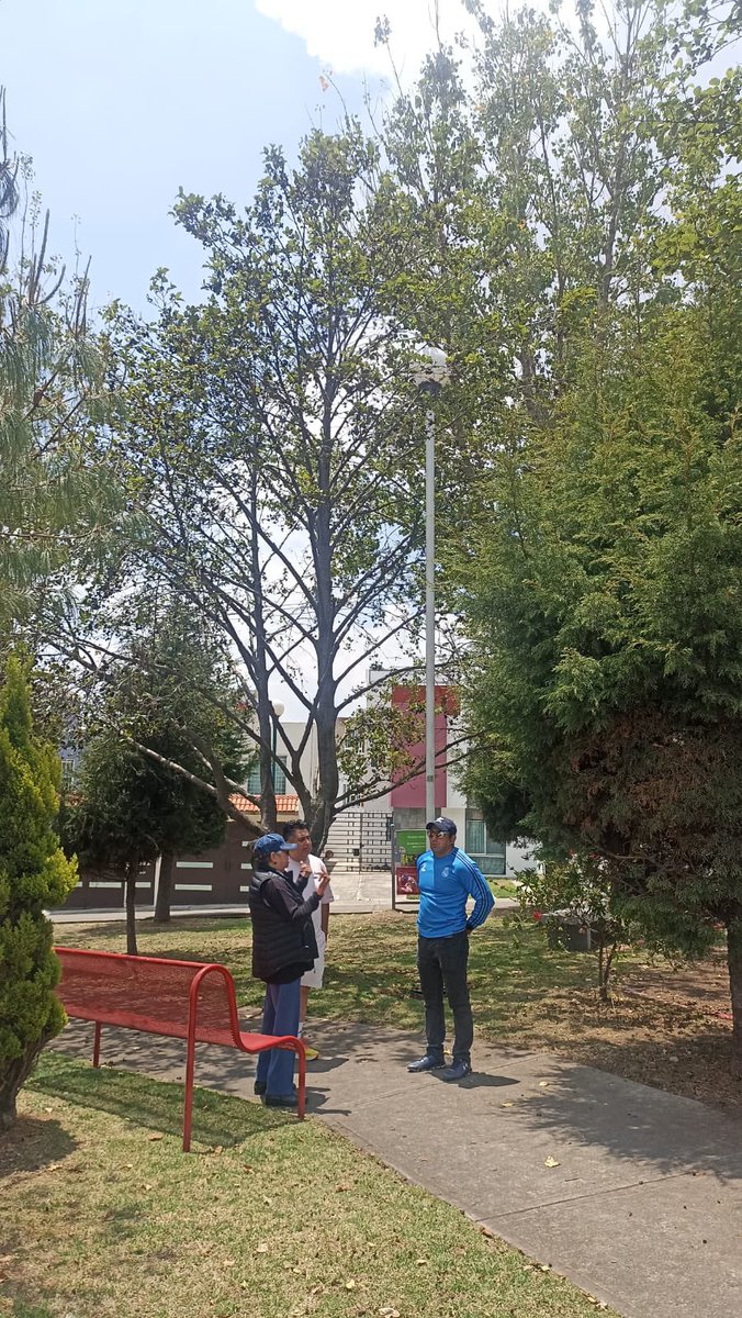 MetepecAmbiente's tweet photo. Una #CiudadQueFunciona está comprometida por el cuidado de los arbolitos. En Metepec diariamente realizamos recorridos de supervisión e inspección para el mantenimiento y cuidado de todas las especies. https://t.co/AbeUJG1NYm