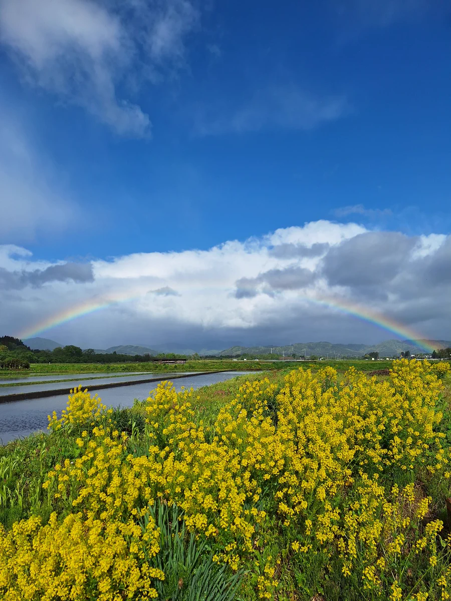 岩手 県 雫石 町