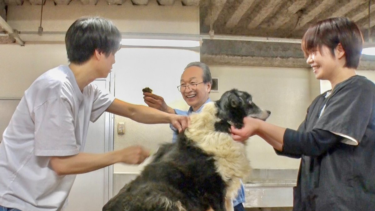 #嗚呼みんなの動物園 

今週の相葉トリミングには
なんと小日向文世さんが
来てくださいました👨

長年放置されたトイ・プードルと
25kgもあるボーダー・コリーをトリミング✂️

今夜7時からです！
ぜひご覧ください💚
#相葉雅紀