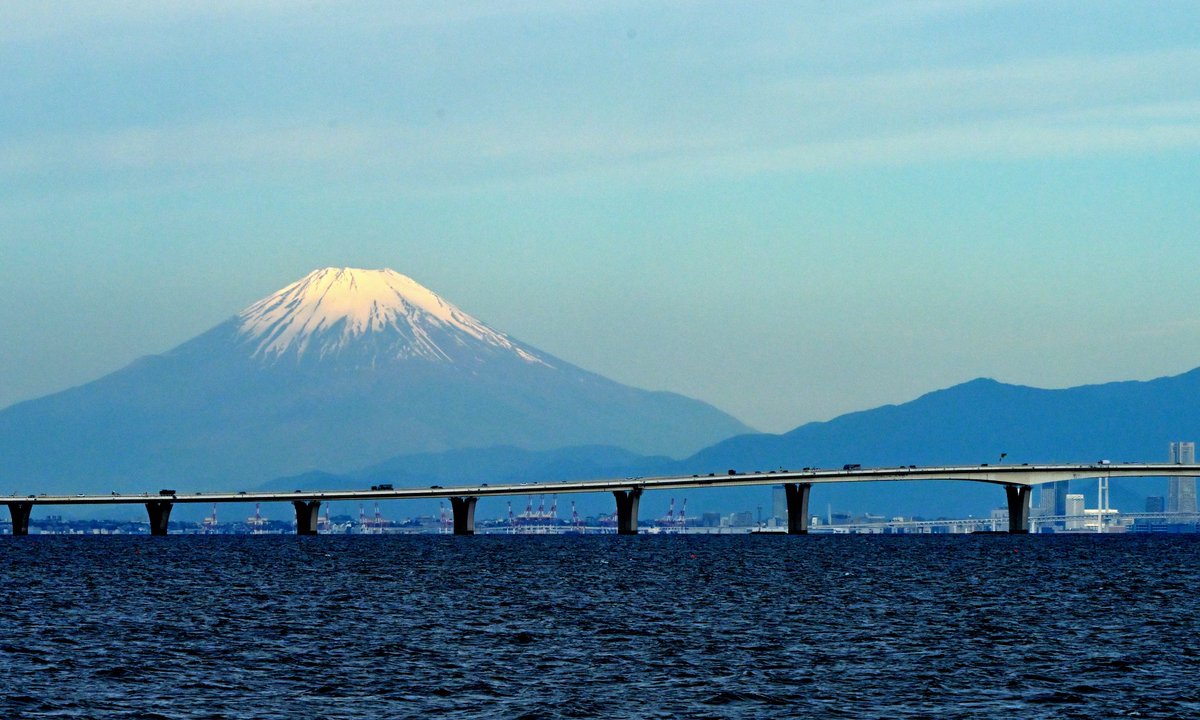 南西楽園航空 tweet media