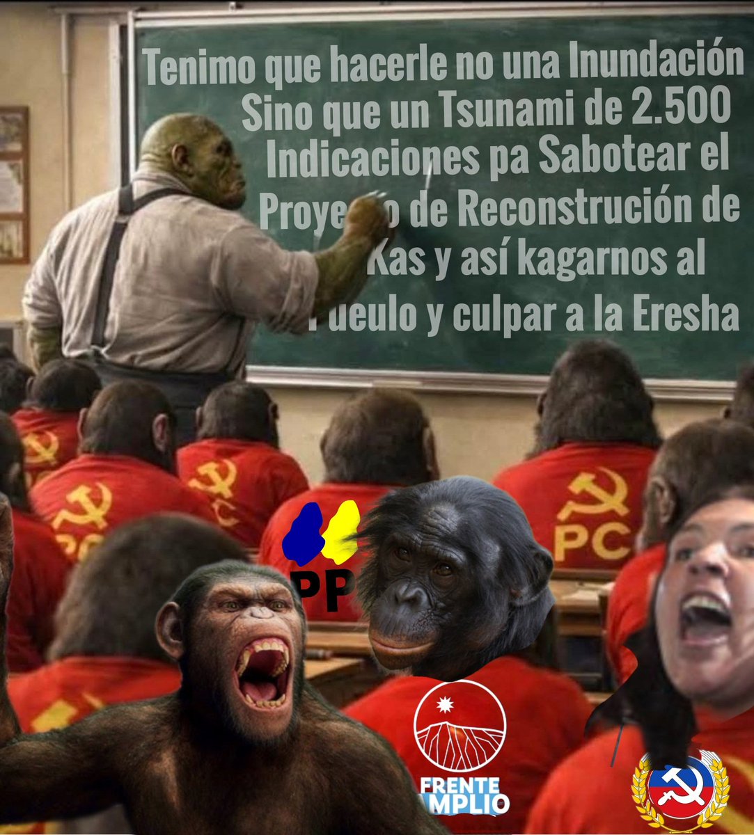 Un Tsunami de Sacos de Weas. #ReconstrucciónNacional