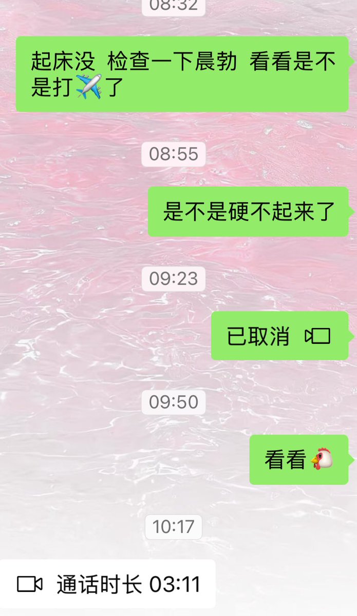 美人猫 tweet media