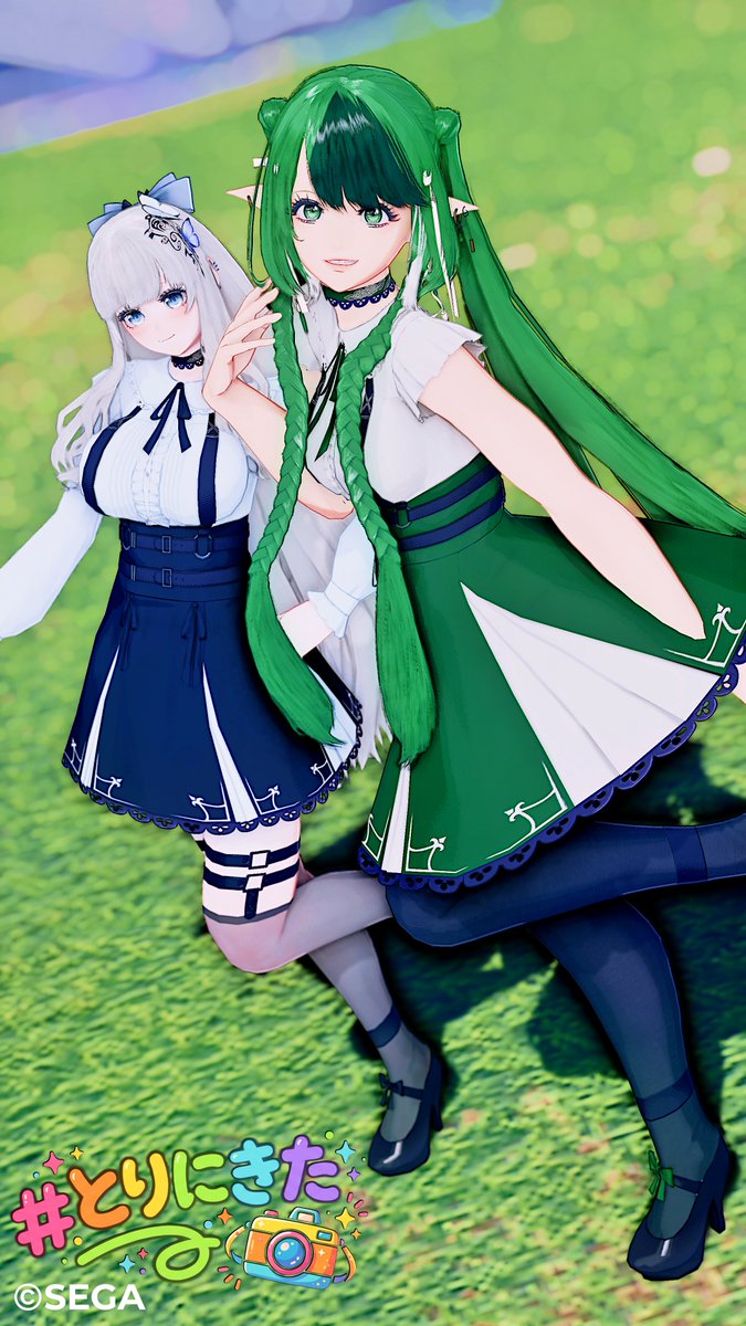 とりにきた