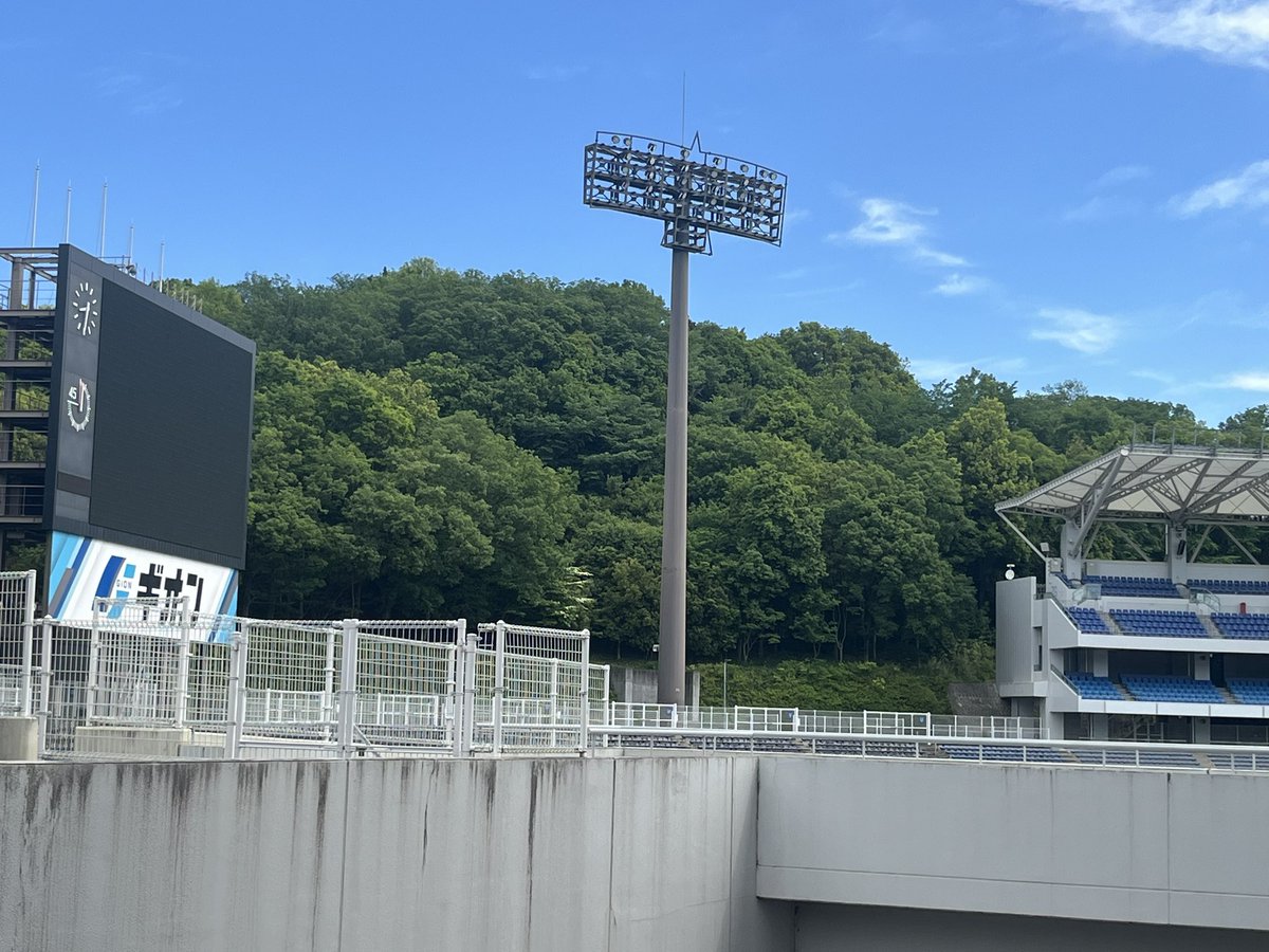 えすじま🐦🐦‍⬛🕊 tweet media
