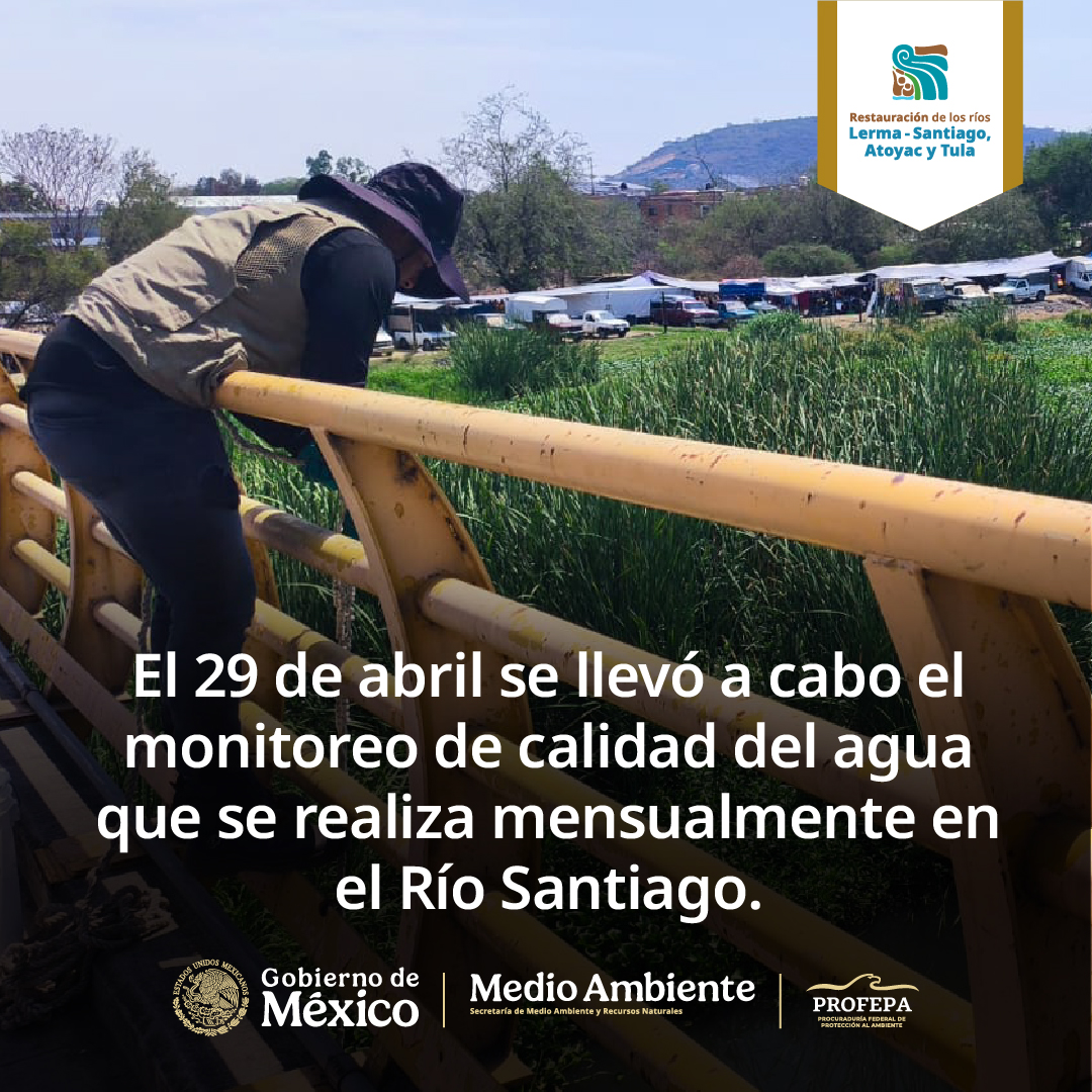 PROFEPA tweet media