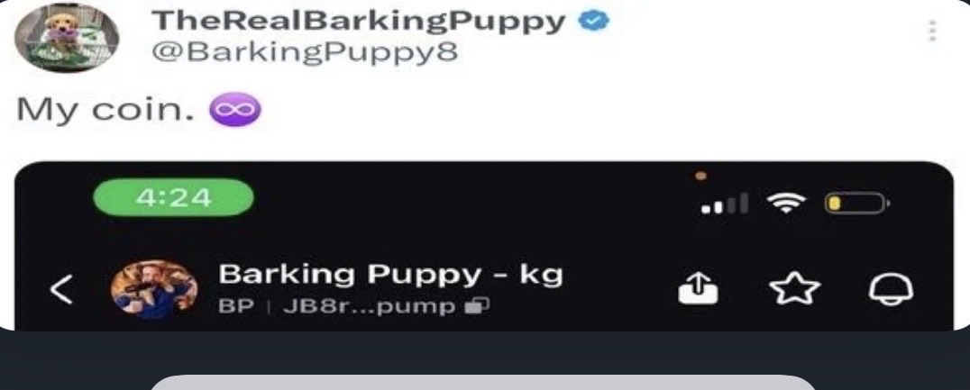 Barking Puppy - kg tweet media