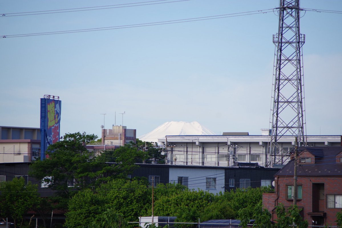 ぺこりんページ U*'エ'*)*'□'*) 🗻