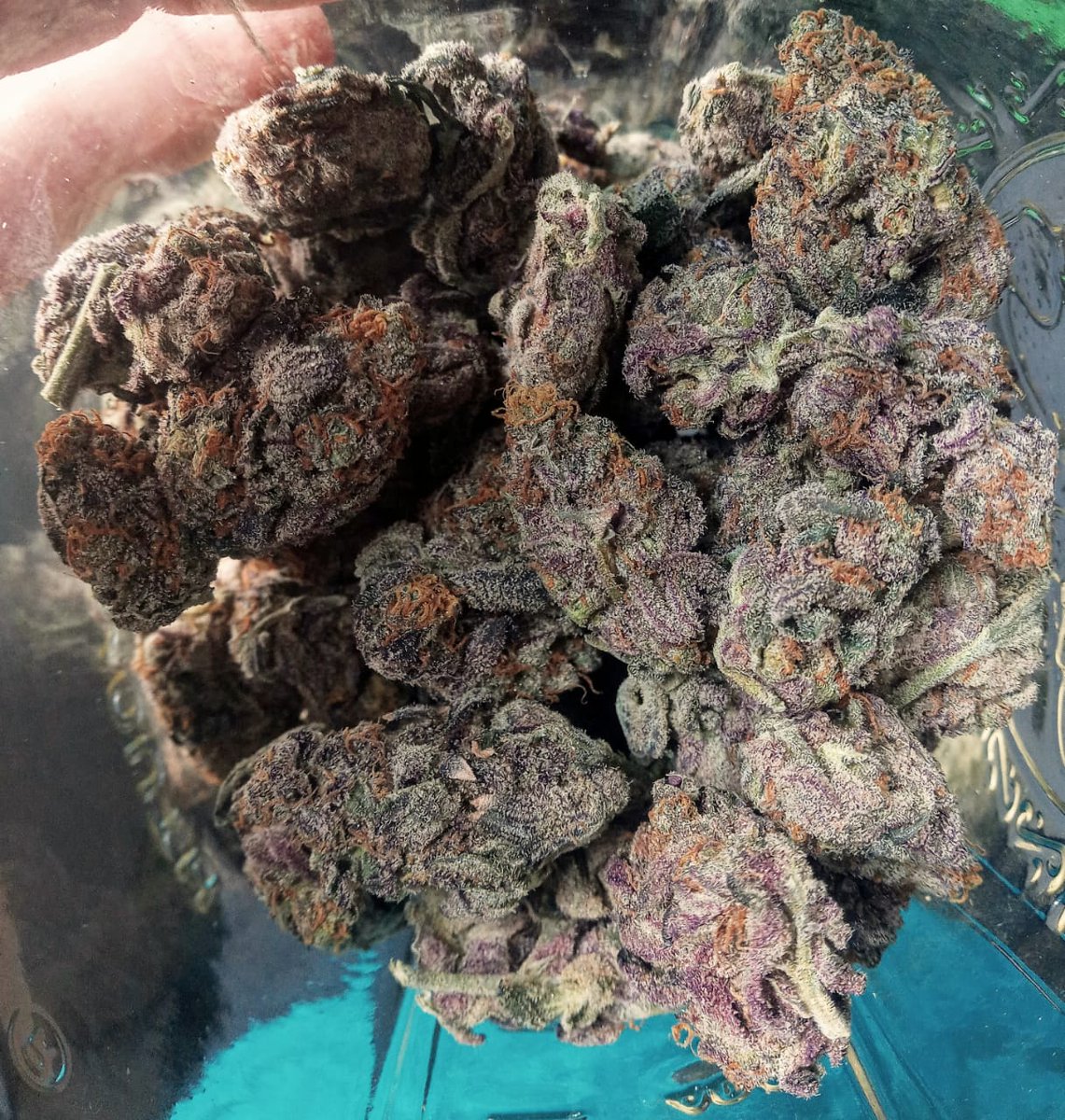 premiumbuds's tweet photo. Pense que era puro choro lo del Giveaway 🫠 ...Pero muchas gracias a los compas de @Paperplanesmx_ al chile que que deliciosa flor. Ya tienen un nuevo cliente. Y el preroll creo que no me había tocado uno original o no se que pedo porque no me acabe ni ⅓ parte. ❤️ Rifados https://t.co/6tOM1OEn6h