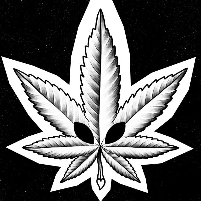 MiraNews_WTF's tweet photo. #aliens #ufox #ufosx #realalien #disclosure #marijuana #weed https://t.co/idvtL6Izza