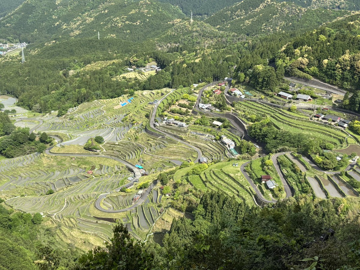 karasobon's tweet photo. 今日は　丸山千枚田展望台から中継です　絶景ポイントからの映像をお楽しみ下さい　ツールド熊野　熊野山岳ステージです　YouTubeサイクリングチャンネルにて配信致します
#ロックオン中継班
#ツールド熊野 https://t.co/ByQjz7qacn