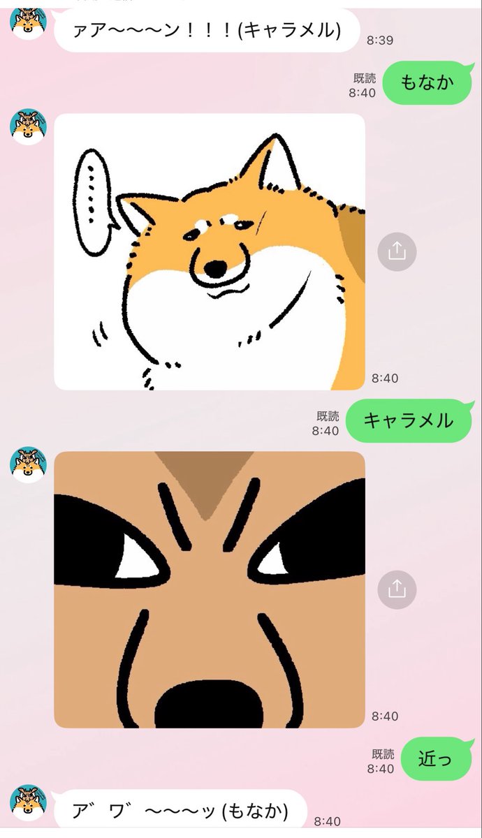 さかぐちまや tweet media
