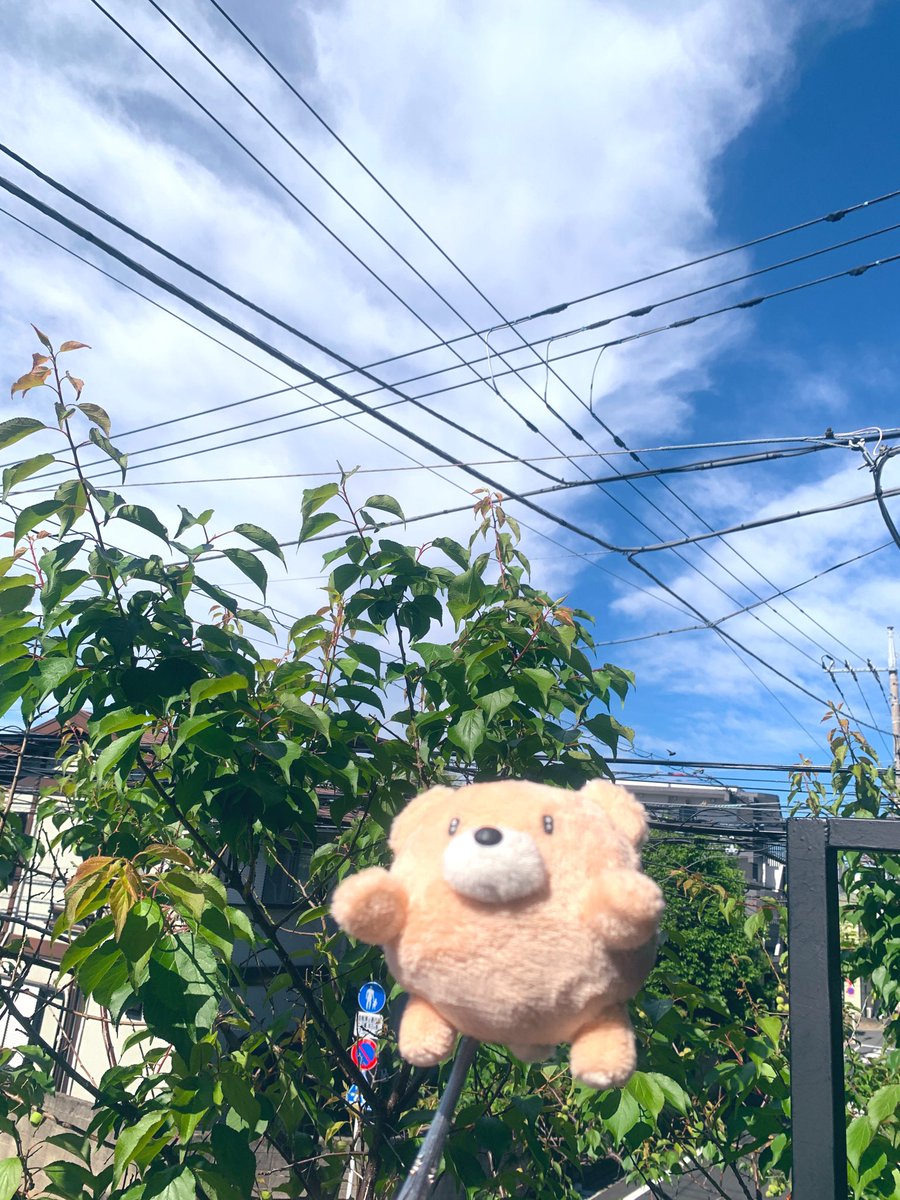 Linda Jota🧸りんだ いおた🪡通販準備中 tweet media