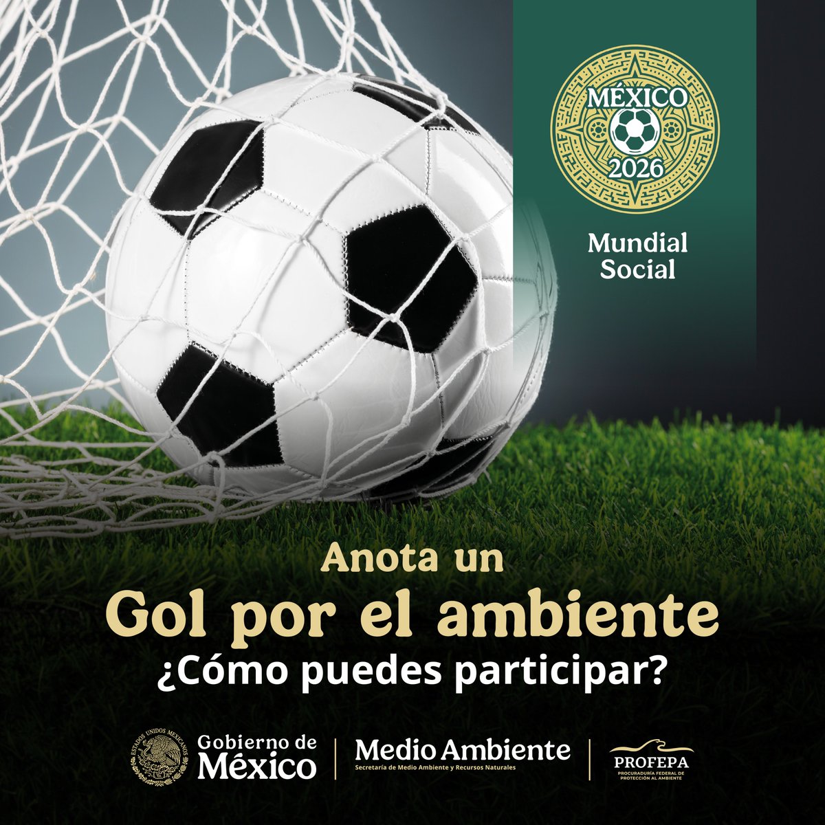 PROFEPA tweet media