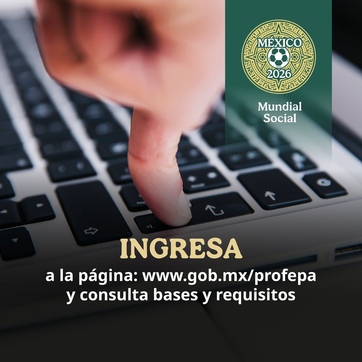 PROFEPA tweet media