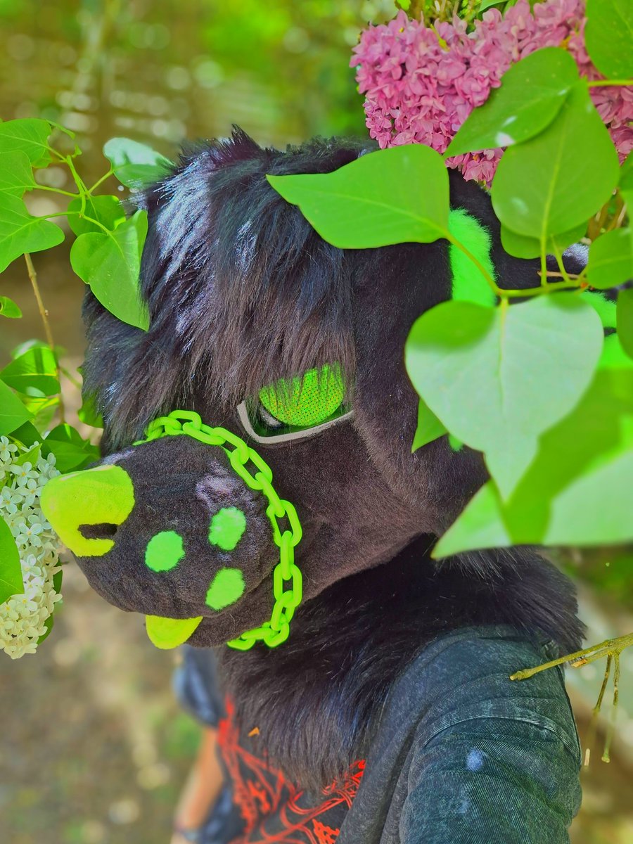 Veganerwauwau's tweet photo. #fursuit https://t.co/IhWhnlRVuu