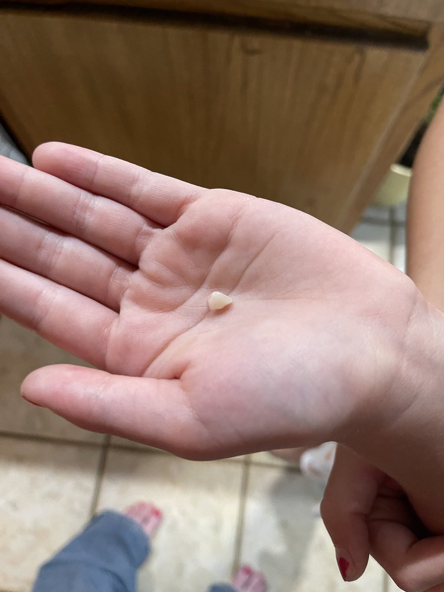 StopPangaea's tweet photo. I’m not opposed to being the tooth fairy but 7/8 times?!?! Pft that bish ain’t cheap. https://t.co/01e7ZkihDE