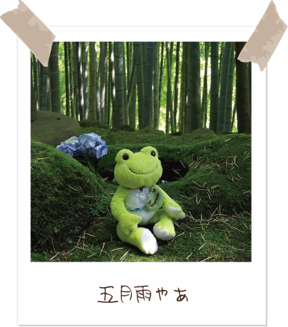かえるのピクルス/pickles the frog (@picklesthefrog6) / Posts / X