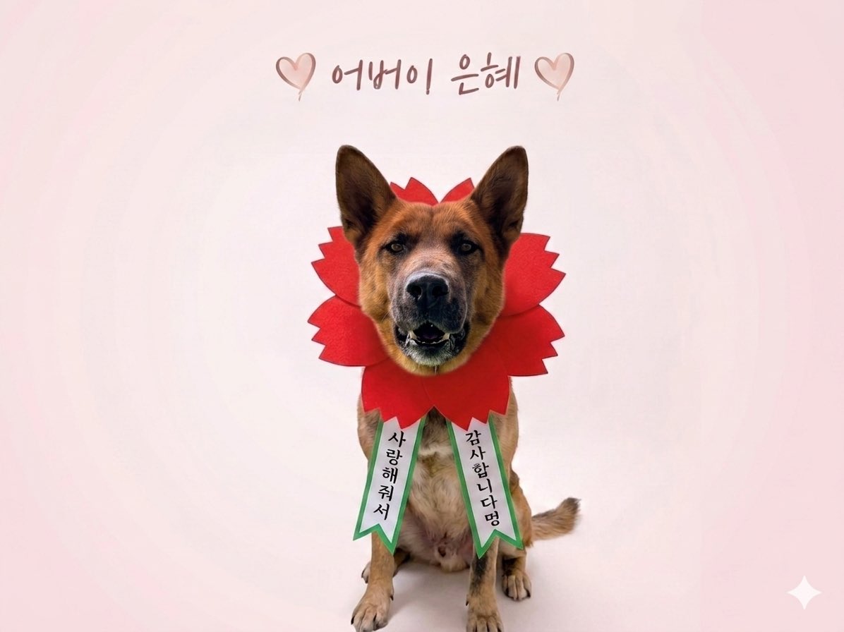 ARK_yellows's tweet photo. 이모, 삼촌
항상 저희를 예뻐해 주시고 사랑해 주셔서
정말 감사드려요 💛

저희는 항상 사랑을 전해줄 엄빠를 기다리고 있어요 
평생 곁을 지켜줄 가족이 되어주세요 https://t.co/m40WXcHy5x