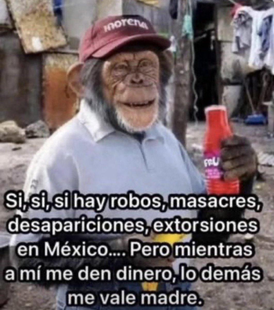 Jaime D.F. tweet media