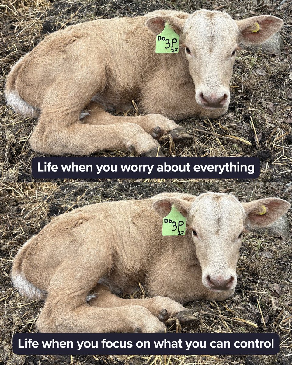 AgSocialcanada's tweet photo. Attitude can go a long way in coping with long days and the many decisions that arise at this time of year.

This is your gentle reminder not to be too hard on yourself. Take a break when you can, take care of yourself, and remember that tomorrow is another day. https://t.co/XQ1G7cPE30