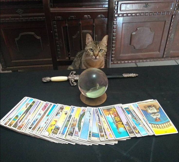 Ju - Taróloga ✨ tweet media