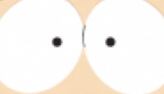CLYDEFROG 🚸🏔️ tweet media