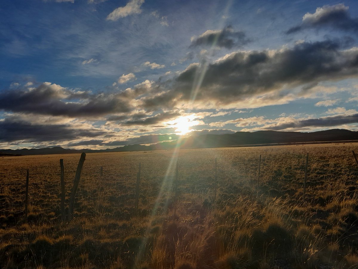 millybeth4's tweet photo. Atardecer en el campo...🥰 https://t.co/vdxibjnYYf