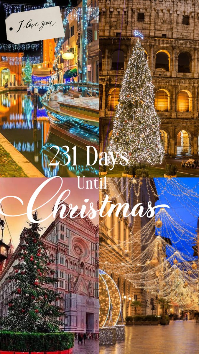 Christmas Lover (@Christmaslvr147) / Posts / X