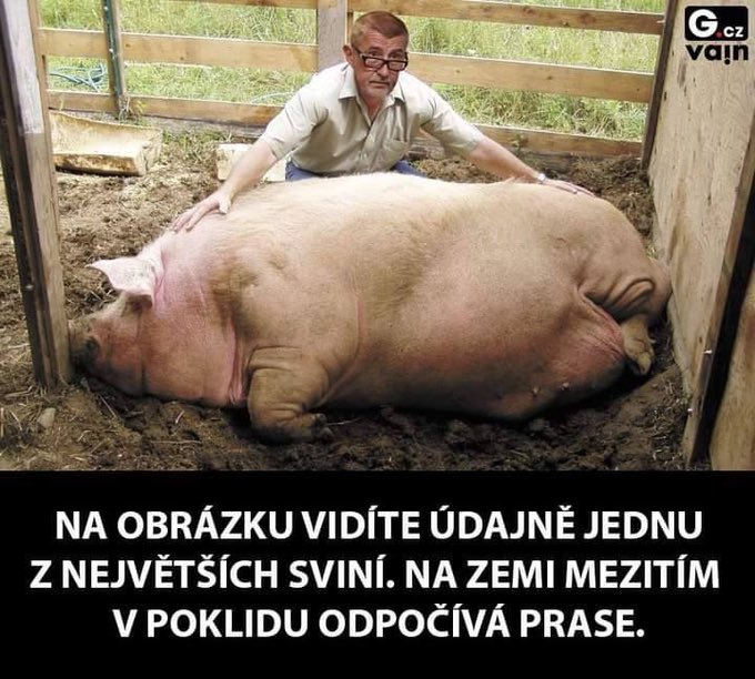 HanelJarek's tweet photo. @PetrHolec @AndrejBabis @prezidentpavel https://t.co/pAxURmIHAp
