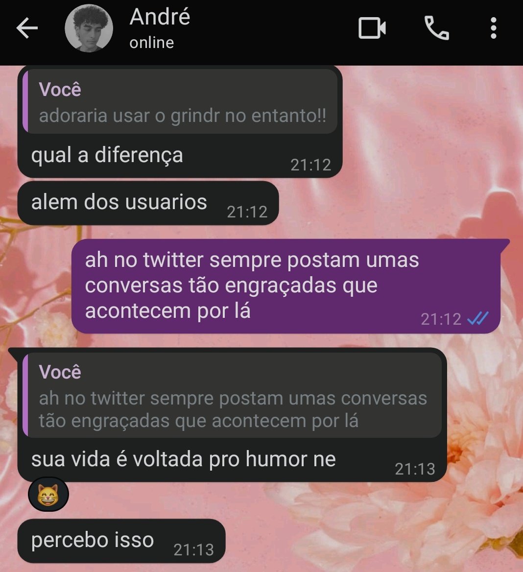 cachorra da Lara Boldorini tweet media