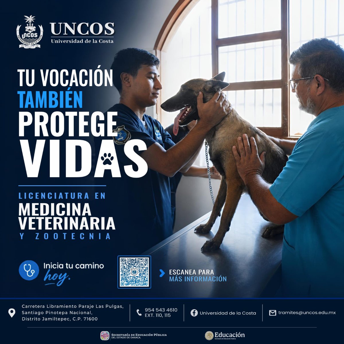 ¿Te apasionan los animales y quieres convertir esa vocación en tu profesión?
La Universidad de la Costa te invita a formar parte de la Licenciatura en Medicina Veterinaria y Zootecnia.
¿Por qué estudiar con nosotros?
-Formación integral con enfoque práctico
-Profesores altamente
