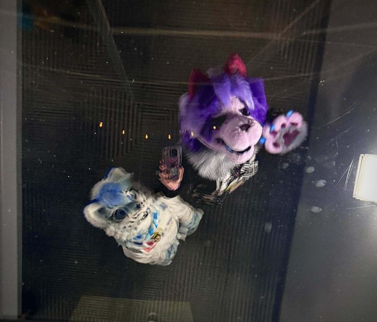 LavenderCrows's tweet photo. Throwback to MFF!! Probably my four favorite photos with @snowberrysnep !!!! 
Hope everyone has a fun #fursuitfriday and an amazing time at #fwa maybe I’ll go next year! 
#fursuit #furry #fursona https://t.co/xuDRsCq2WA