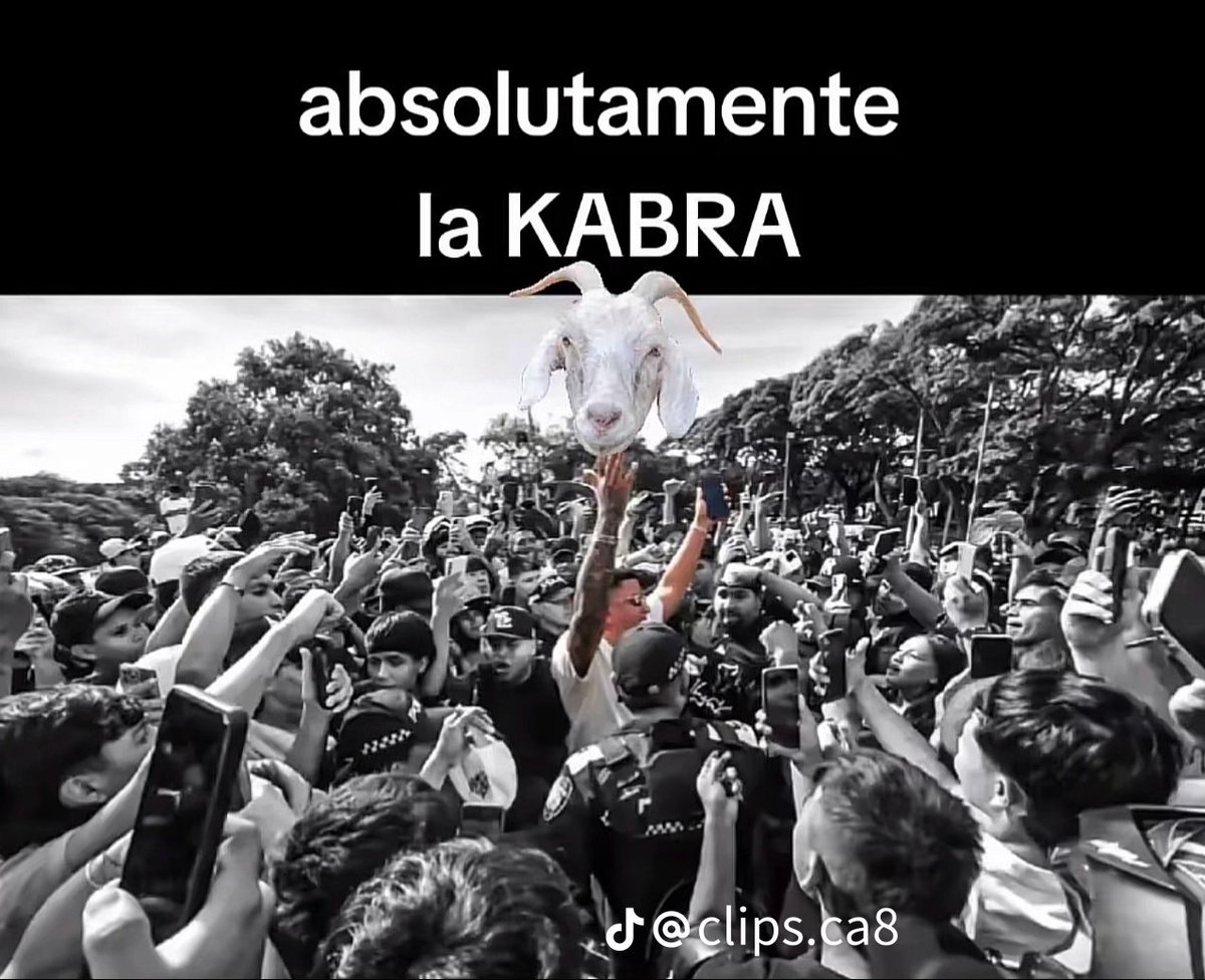 el2poste💀 tweet media