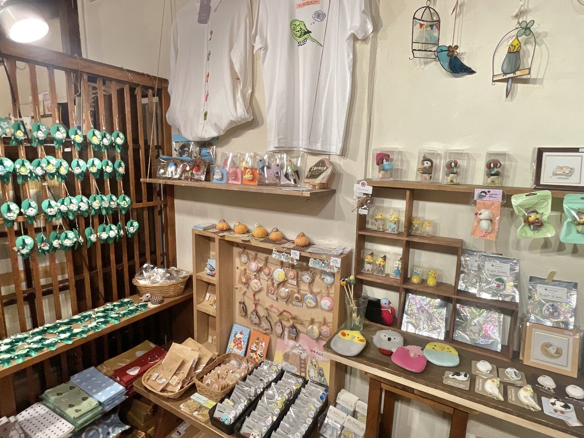 hinata_tani6's tweet photo. #とりことり #とりことり2026
小鳥イベントは、今日を含めあと2日間となりました。後半でたくさん入荷があったため、きっと良いものが見つかりますよー✨ 
本日9日も19時まで、ときちゃんと一緒にご来店をお待ちしております☺️ https://t.co/217NEEjdh0