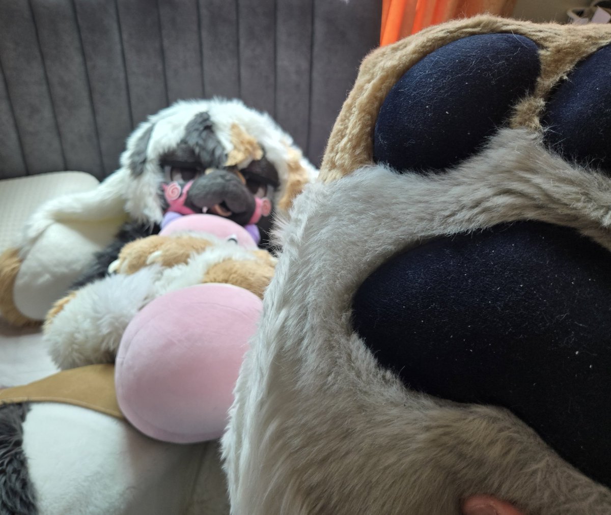 kennes🐰 ➡️ furryjoas tweet media