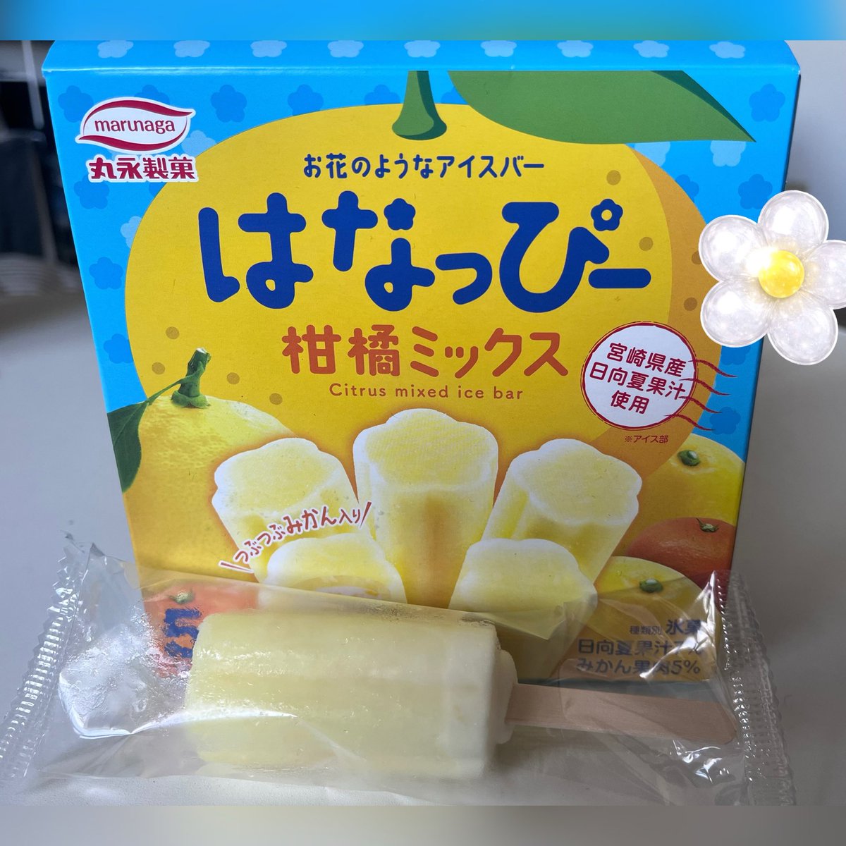 marunagaseika くま吉くん?‍❄️おはよ〜ございあいす? 私が選んだの 