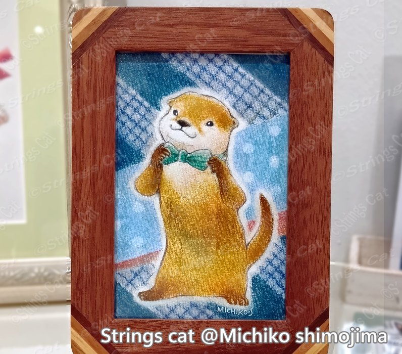 Strings cat・下島みちこ@猫の絵描き tweet media