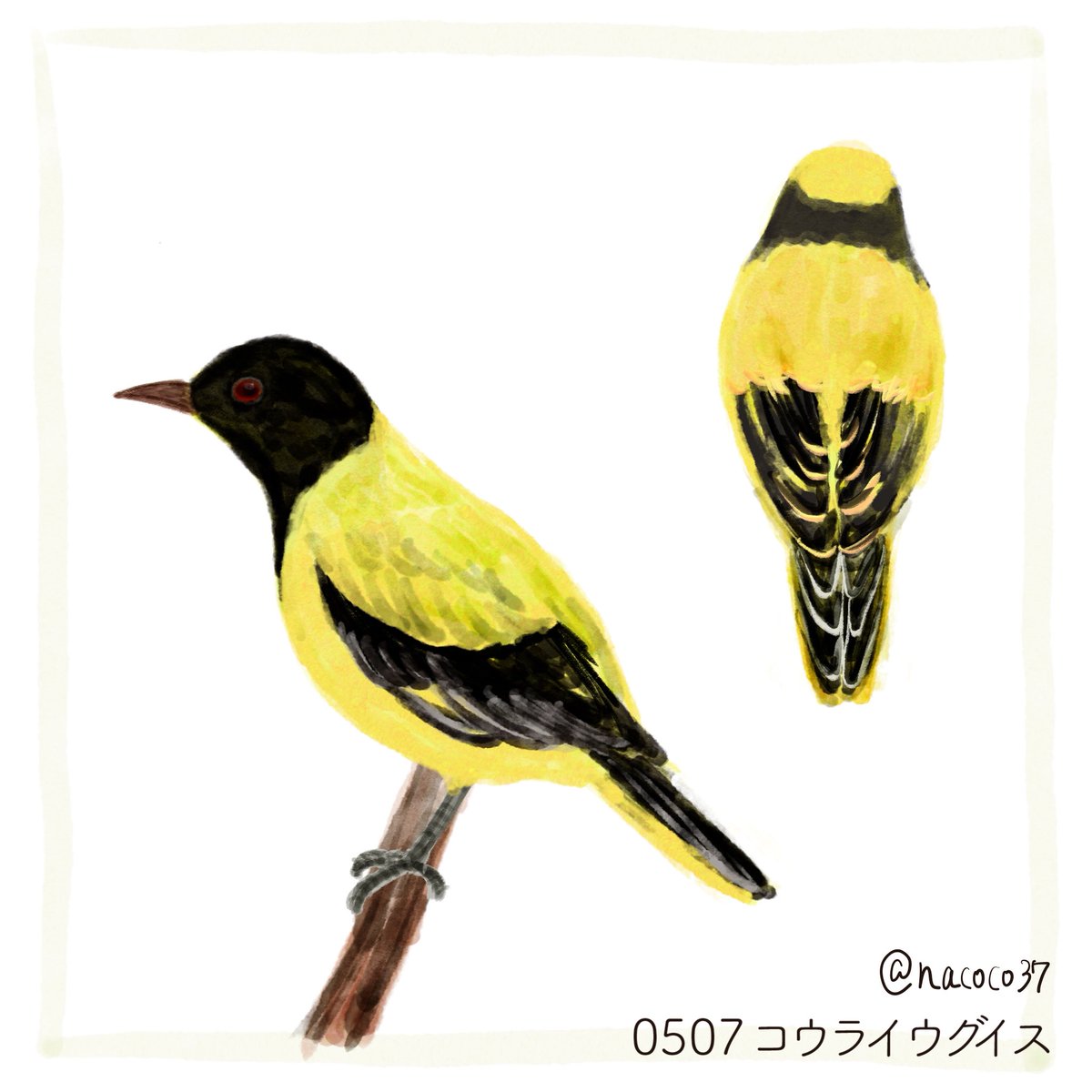 ナココ tweet media