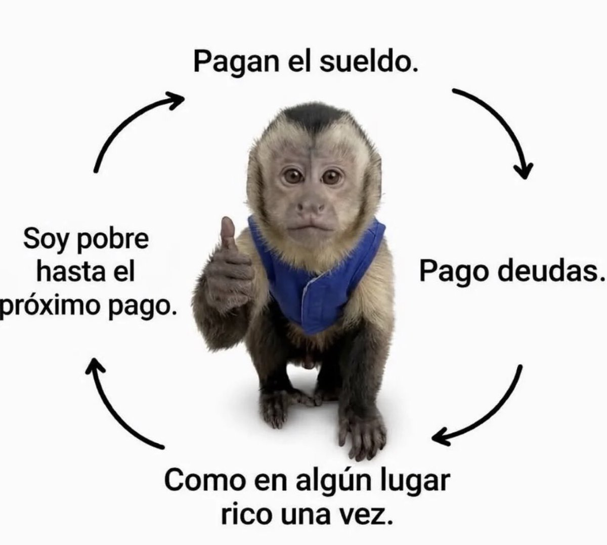 YO