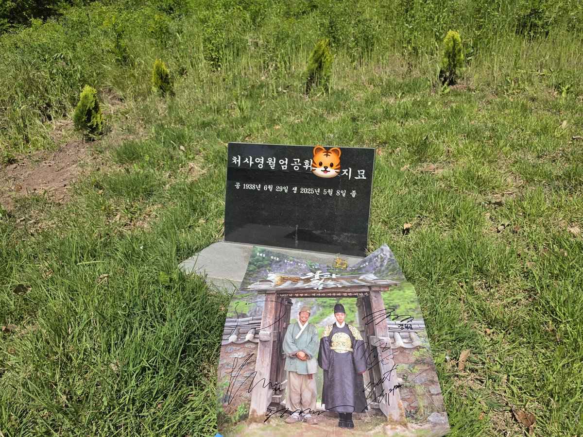 보니 bonnie tweet media