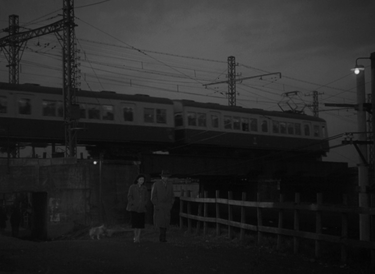Cine Rōnin tweet media