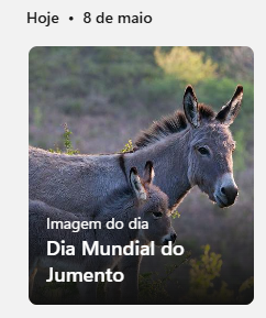 windows deu um jeito de pertubar o magal hoje
imagina quantas mensagens chegaram da dm por causa disso?