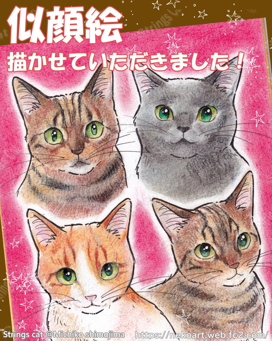 Strings cat・下島みちこ@猫の絵描き tweet media