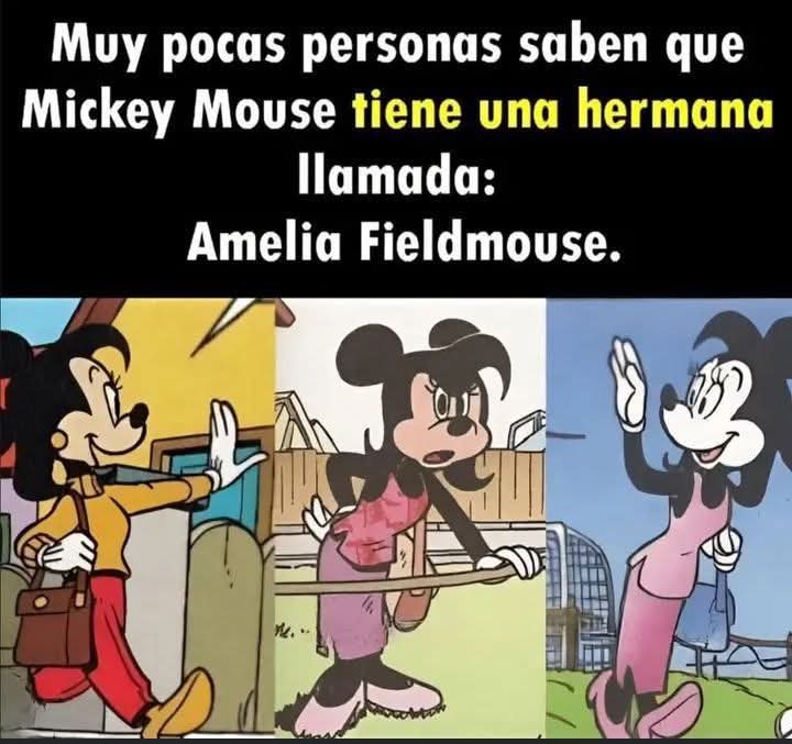 Enzo De Villa 🌠🇻🇪 tweet media
